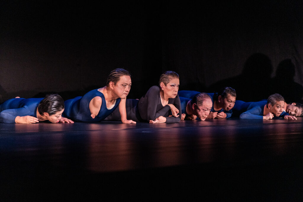 提供：国際芸術祭「あいち」組織委員会